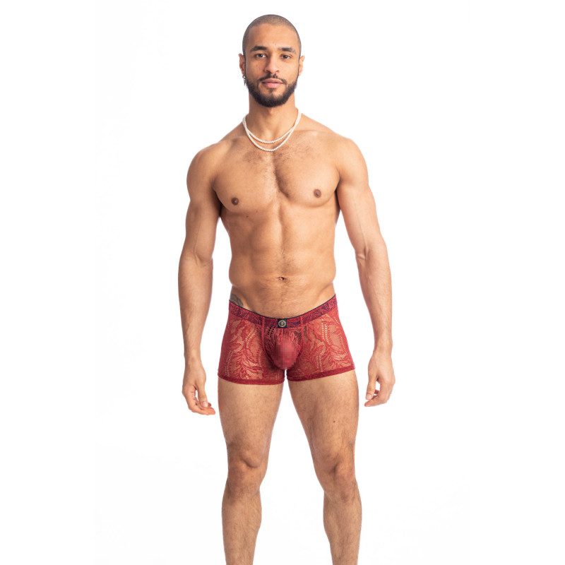 Red Dahlia - Shorty Push Up