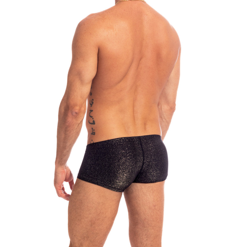 Fauves de Nuit - Miniboxer