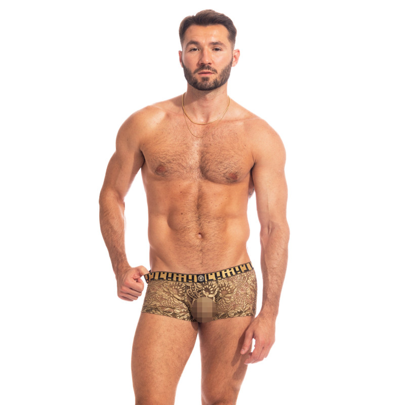 Halcyonique - Hipster Push-up