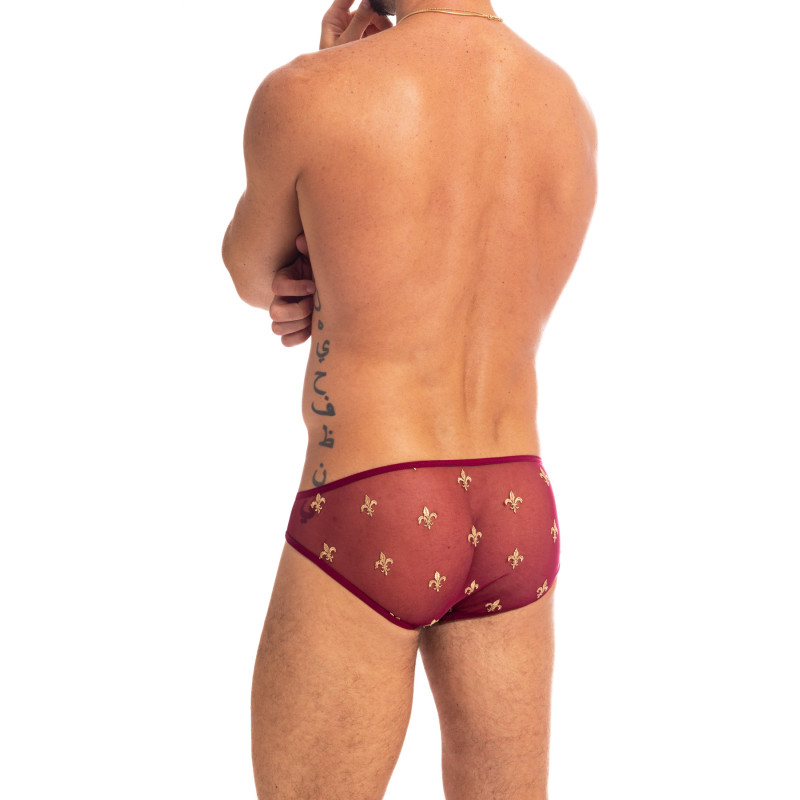 Charlemagne Red Briefs  Men's sheer Bikini Briefs in red Embroidered Mesh