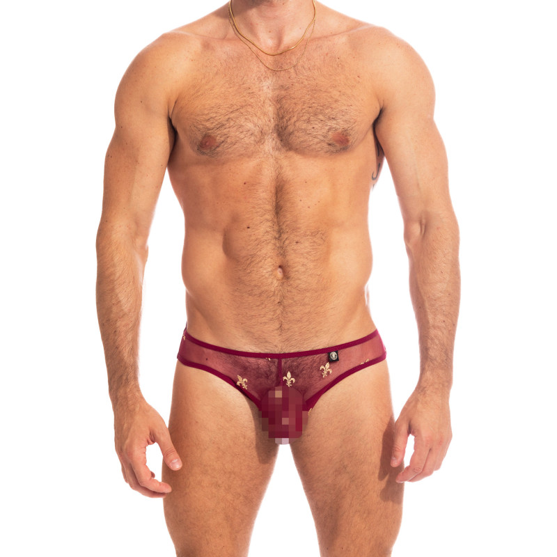 Charlemagne Red - Mini Briefs