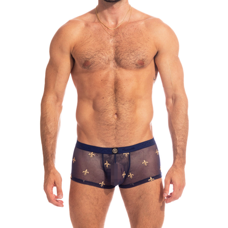 Charlemagne Navy Hipster Push Up  Men's see-through embroidered