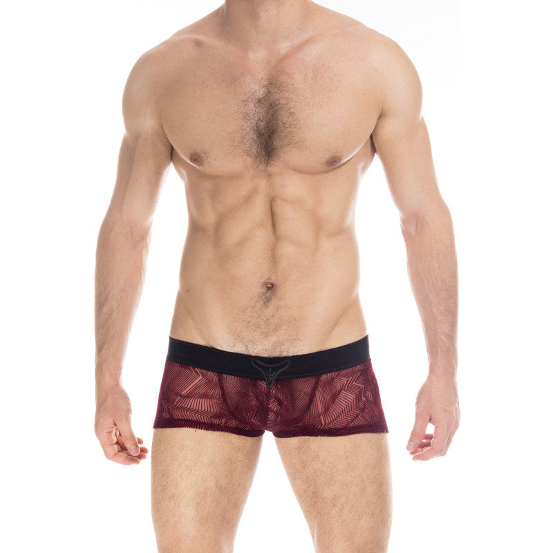 mens see thru swim trunks