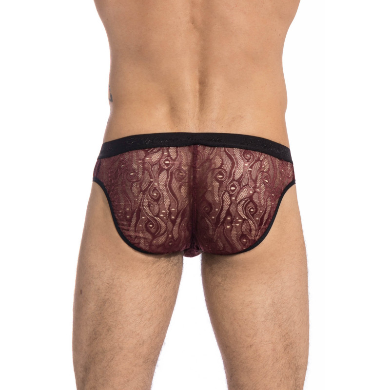 Enzo - Sexy Back Briefs Sexy Lace